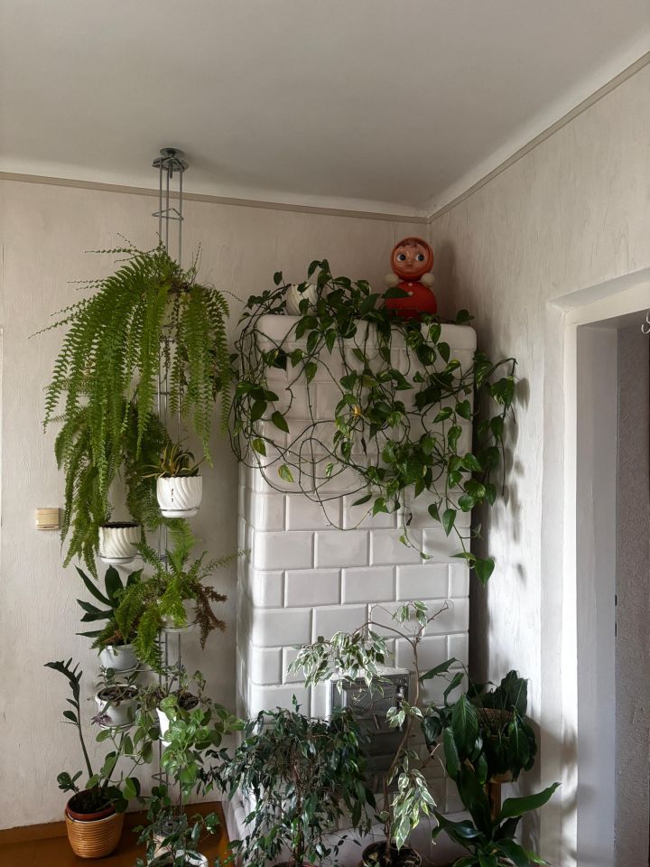 dom wolnostojący, 3 pokoje Oficjałów. Zdjęcie 16