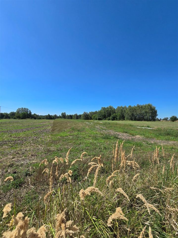 Działka budowlana Lędziny, ul. Stefana Żeromskiego. Zdjęcie 4