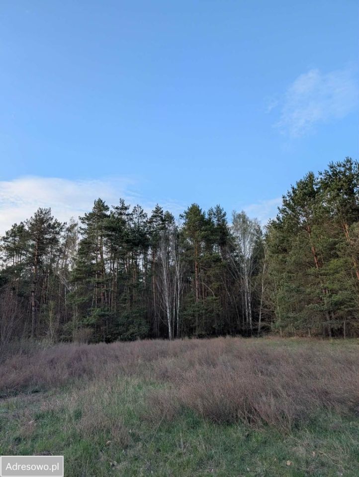 dom wolnostojący, 3 pokoje Tarłów, ul. Ostrowiecka. Zdjęcie 4