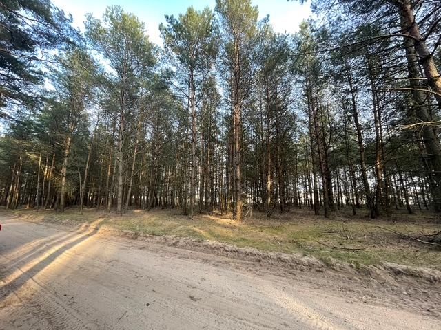 Działka budowlana Skrzynka