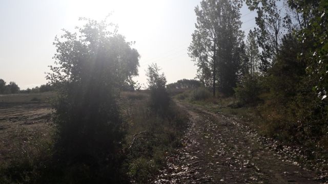 Działka budowlana Kołbaskowo. Zdjęcie 2