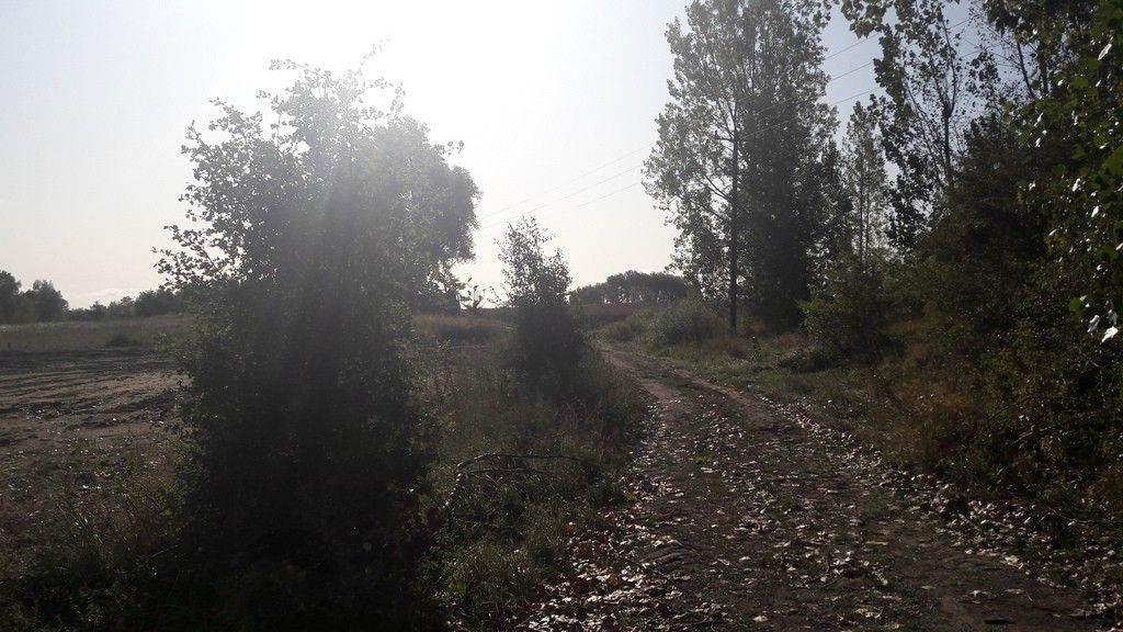 Działka budowlana Kołbaskowo. Zdjęcie 2