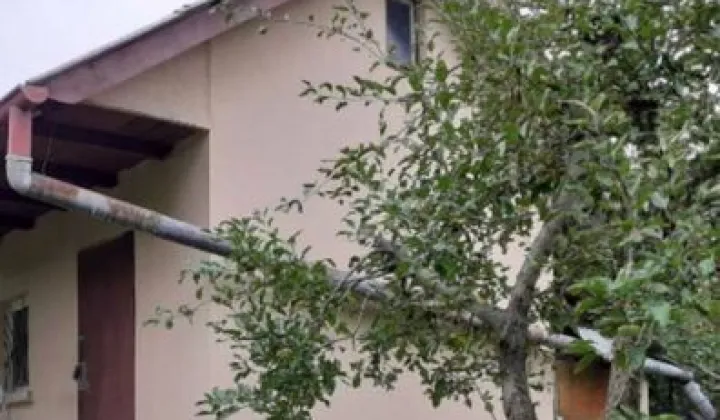 Działka rod Zgorzelec, ul. Łużycka