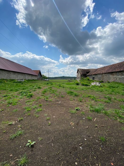 gospodarstwo Włosty. Zdjęcie 4