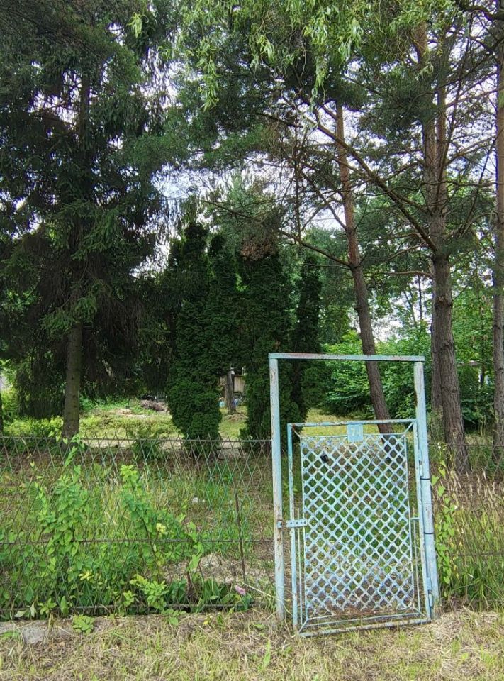Działka rod Bytom, ul. Siemianowicka. Zdjęcie 2