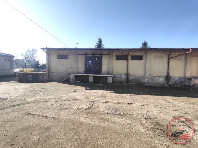 Nieruchomość komercyjna Radziejów. Zdjęcie 8
