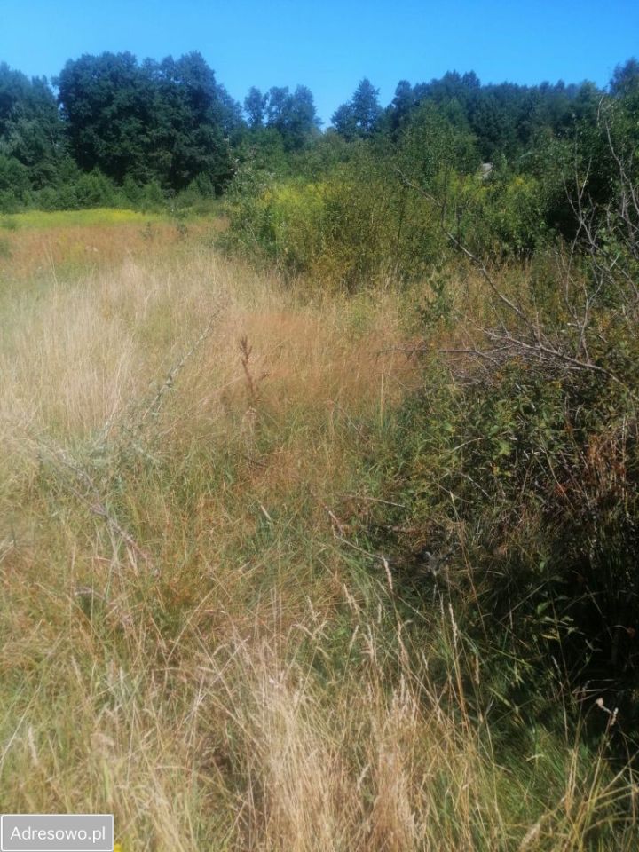 Działka rolna Łódź Bałuty, ul. Liściasta. Zdjęcie 7