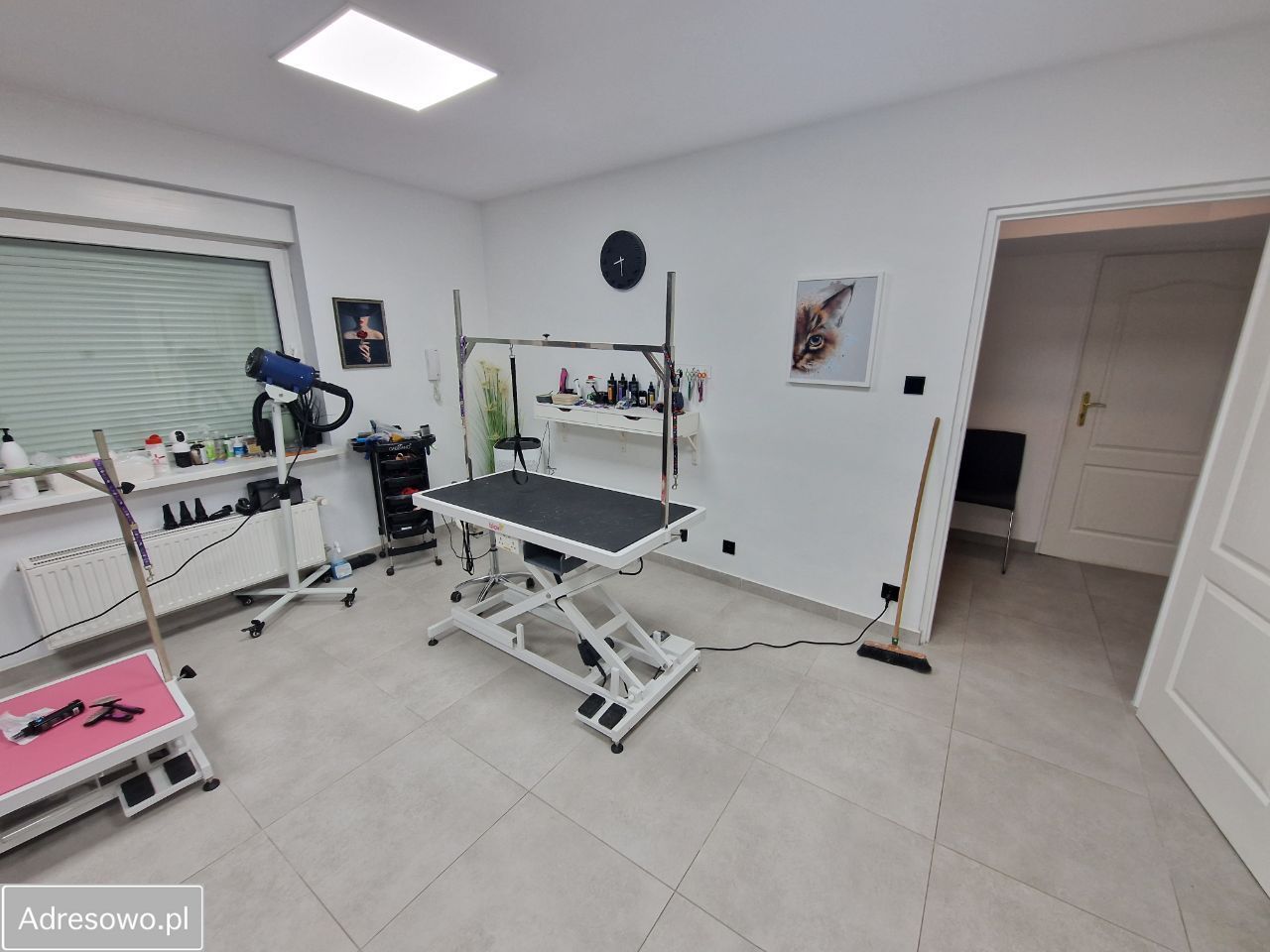 Lokal Poznań Nowe Miasto. Zdjęcie 8