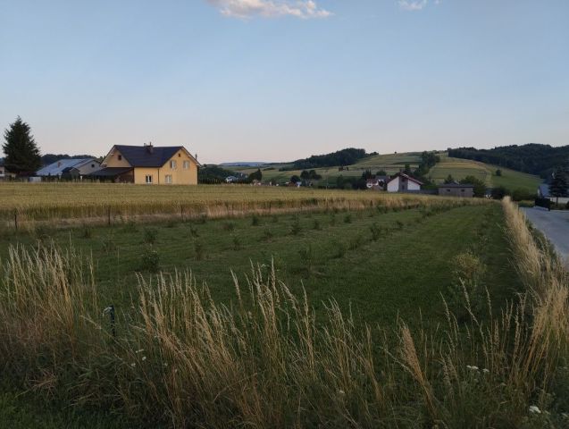 Działka rolna Grodzisko. Zdjęcie 1