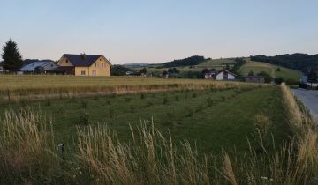 Działka rolna Grodzisko