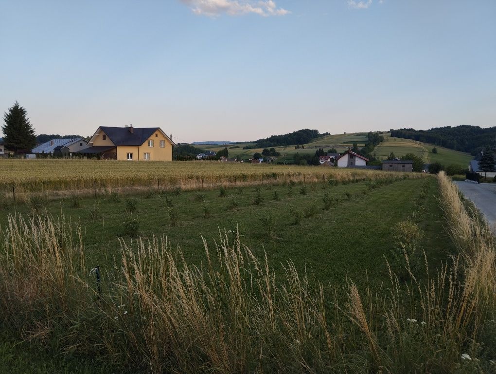 Działka rolna Grodzisko