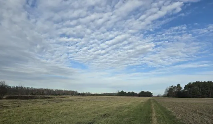 Działka rolna Duczki