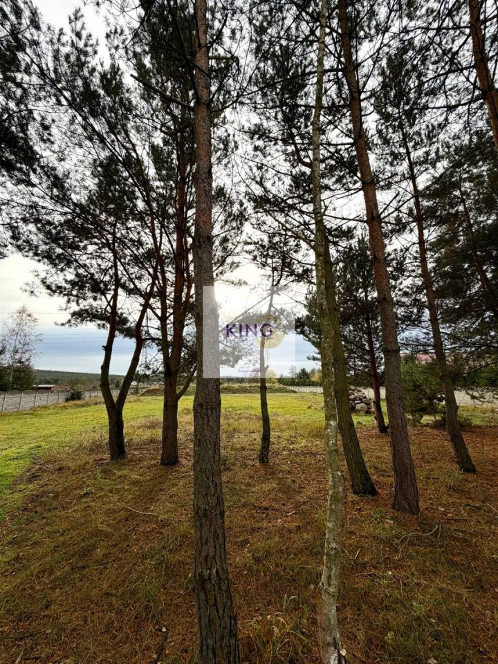 Działka budowlana Nowe Czarnowo. Zdjęcie 4