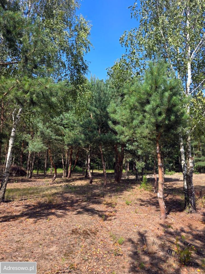 Działka Bartniki, ul. Parkowa. Zdjęcie 2