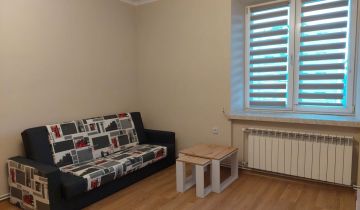 Mieszkanie 1-pokojowe Zduńska Wola Kolonia Karsznice