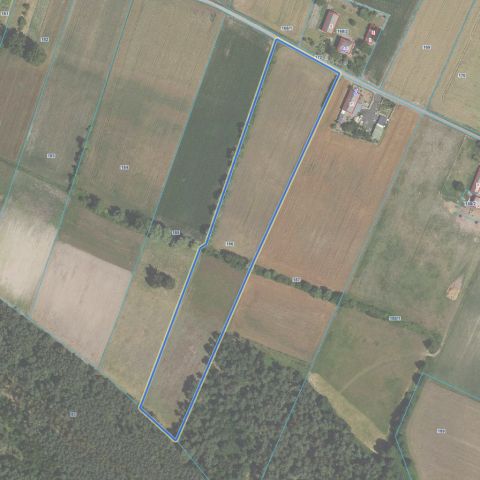 dom wolnostojący, 4 pokoje Gołas. Zdjęcie 2