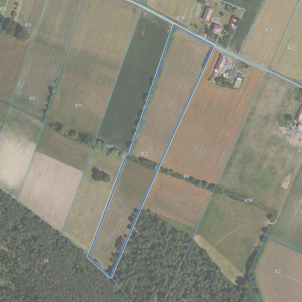 dom wolnostojący, 4 pokoje Gołas. Zdjęcie 2