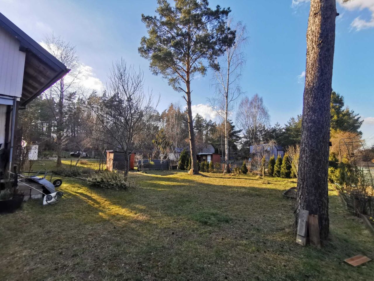 Działka rod Gdańsk Osowa. Zdjęcie 6