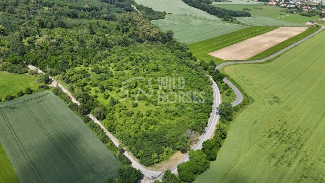 Działka inwestycyjna Strzegom. Zdjęcie 1