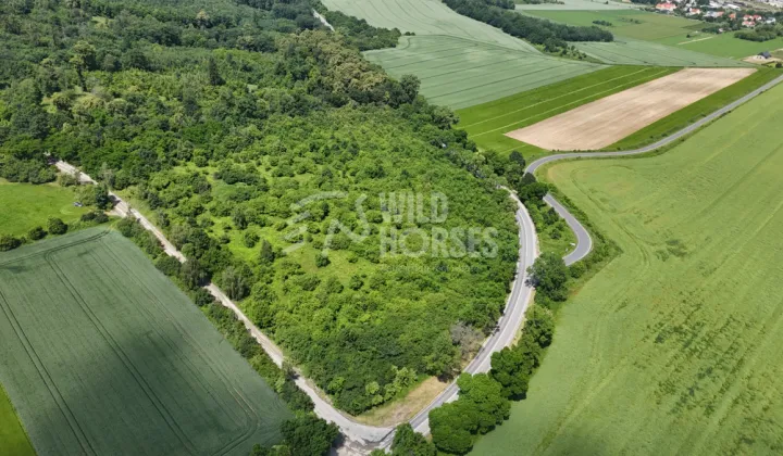 Działka inwestycyjna Strzegom