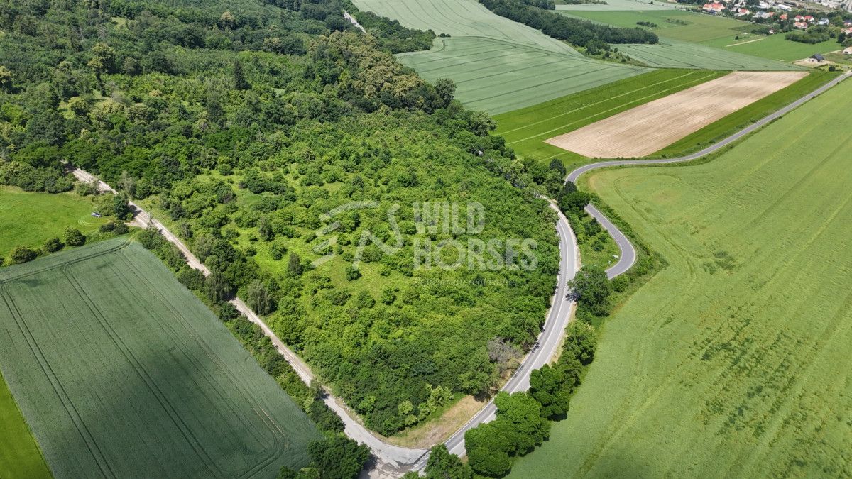 Działka inwestycyjna Strzegom. Zdjęcie 1