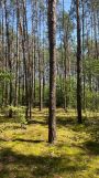 Działka budowlana Kadzidło, Podtatarze. Zdjęcie 4