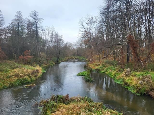 Działka rekreacyjna Wola Młocka. Zdjęcie 4