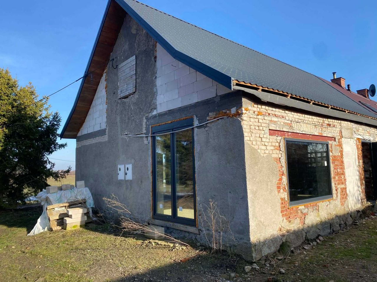 bliźniak Notyst Mały. Zdjęcie 3