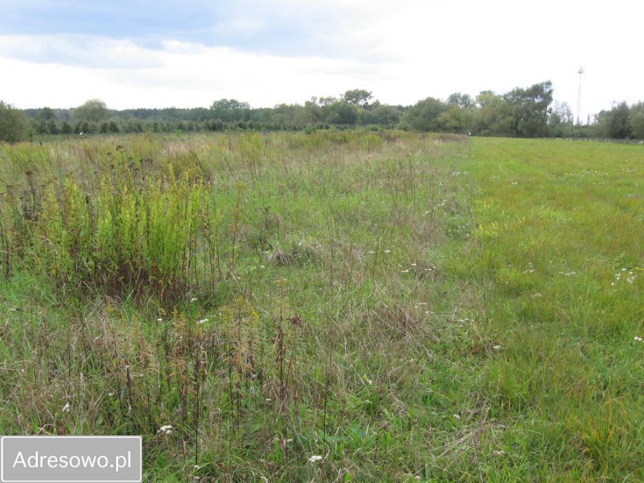 Działka rolna Wrzelów. Zdjęcie 6