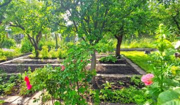 Działka rod Bydgoszcz, ul. Toruńska