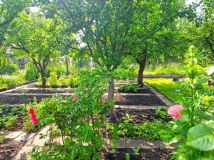 Działka rod Bydgoszcz, ul. Toruńska. Zdjęcie 1