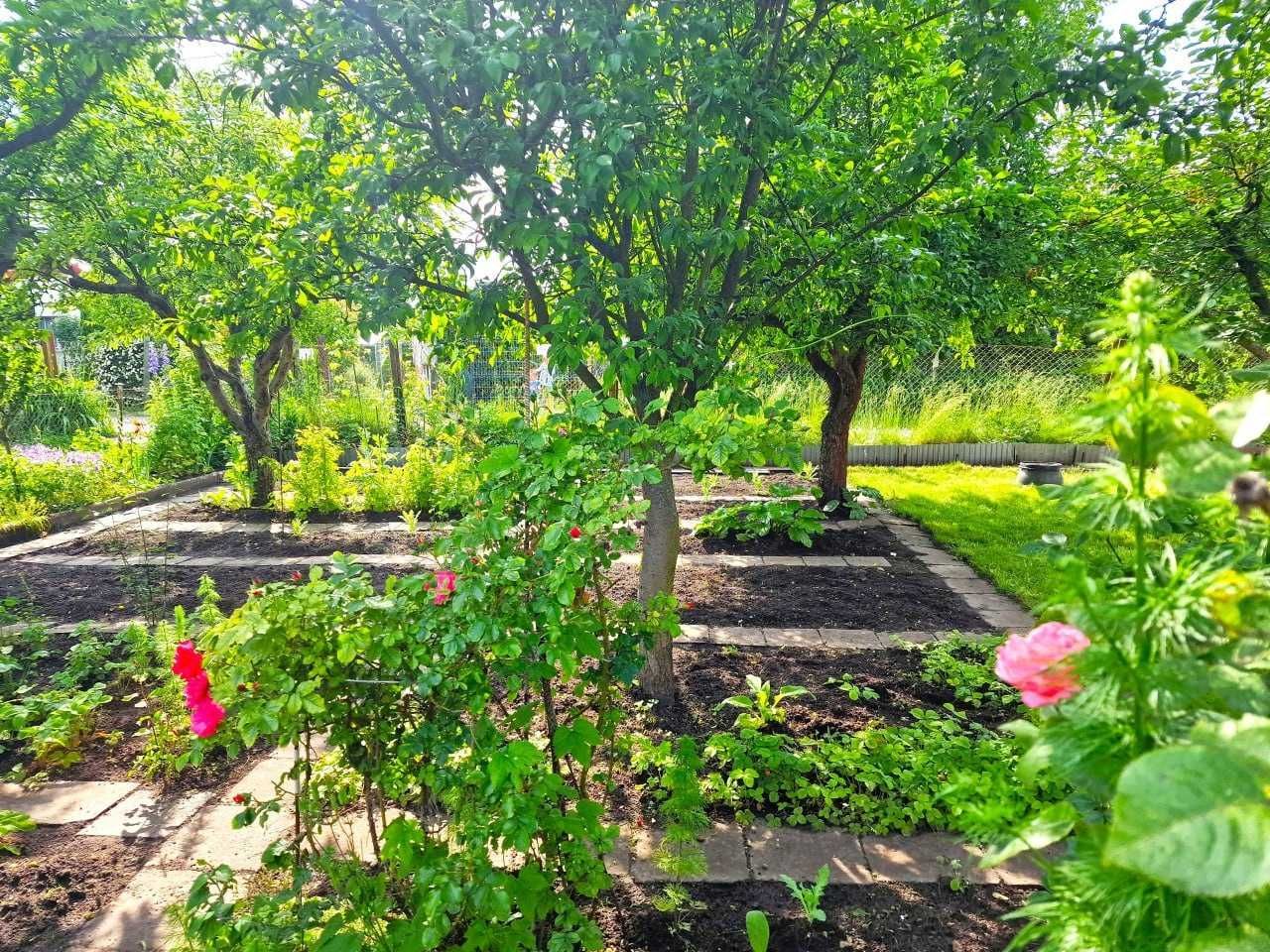 Działka rod Bydgoszcz, ul. Toruńska. Zdjęcie 2