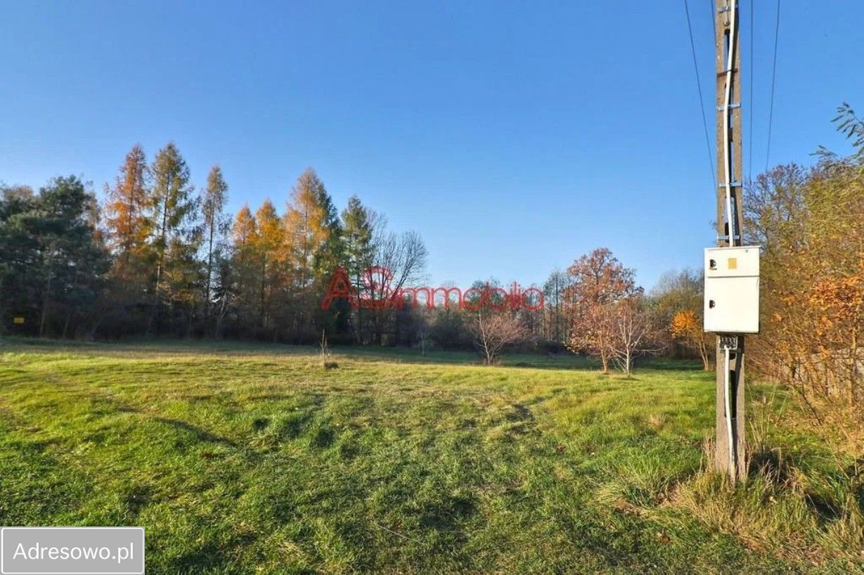 Działka inwestycyjna Arciechów, ul. Dąbrowiecka. Zdjęcie 1