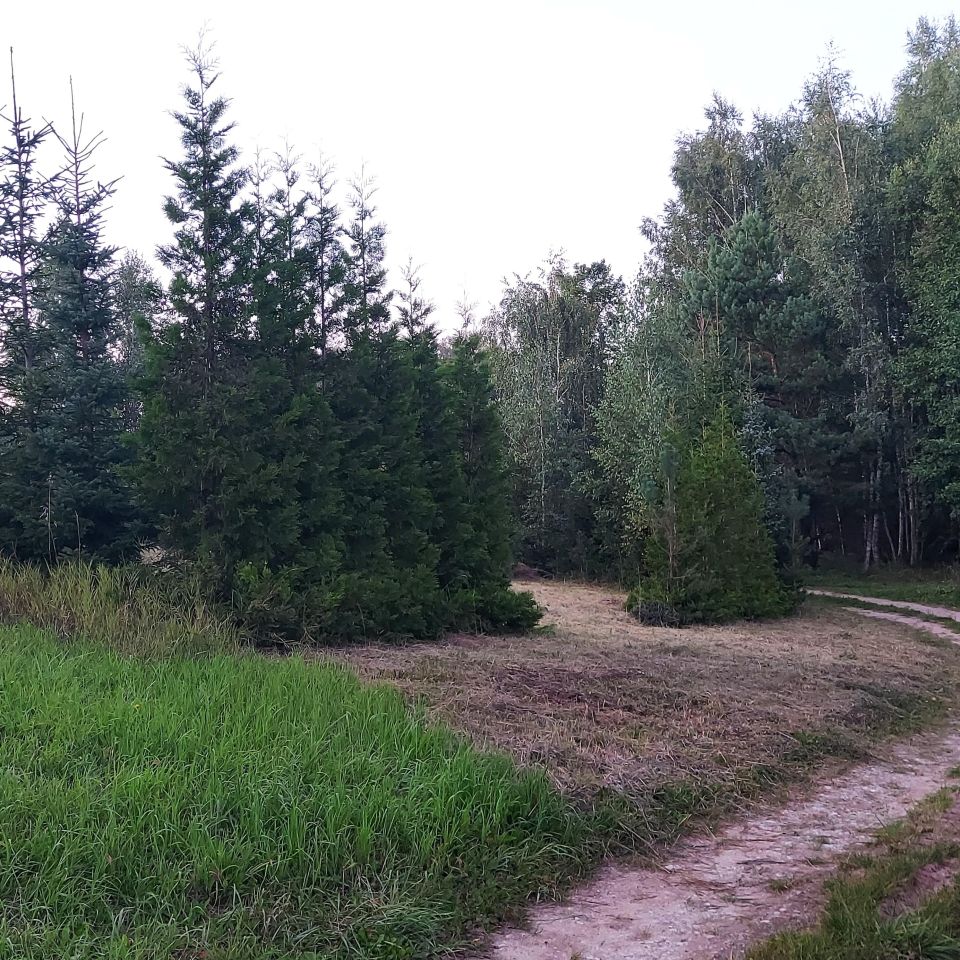 Działka rekreacyjna Oszkinie. Zdjęcie 3