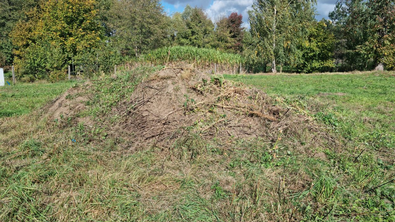 Działka rolno-budowlana Wiskitki, ul. Armii Krajowej. Zdjęcie 13