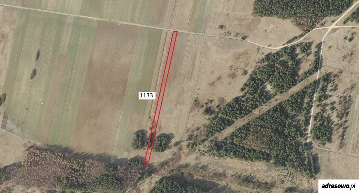 Działka rolna Chruszczobród-Piaski. Zdjęcie 1