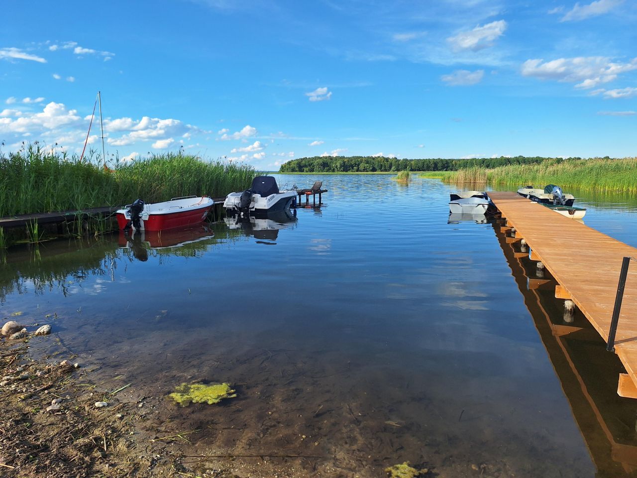 Działka rolna Zdory. Zdjęcie 8