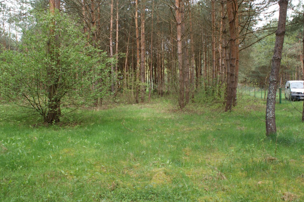 Działka rekreacyjna Czerwona Wola Myszkówka. Zdjęcie 12