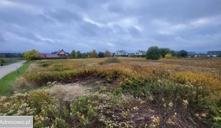 Działka budowlana Bogdaszowice, ul. Borówkowa