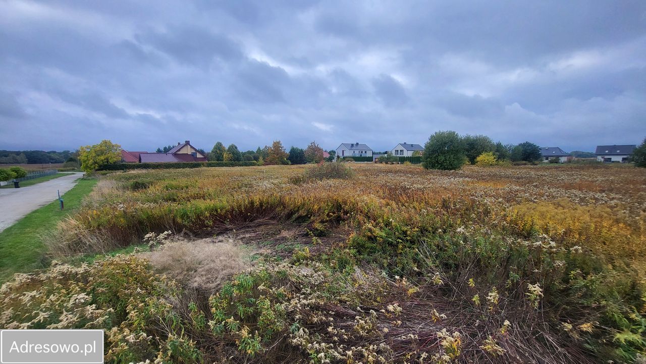 Działka budowlana Bogdaszowice, ul. Borówkowa