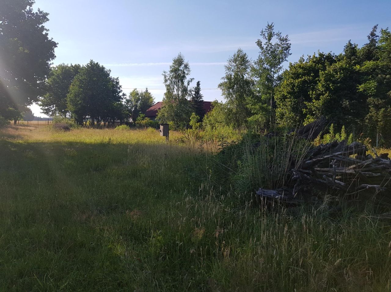 Działka budowlana Żołędowo, ul. Topolowa. Zdjęcie 5