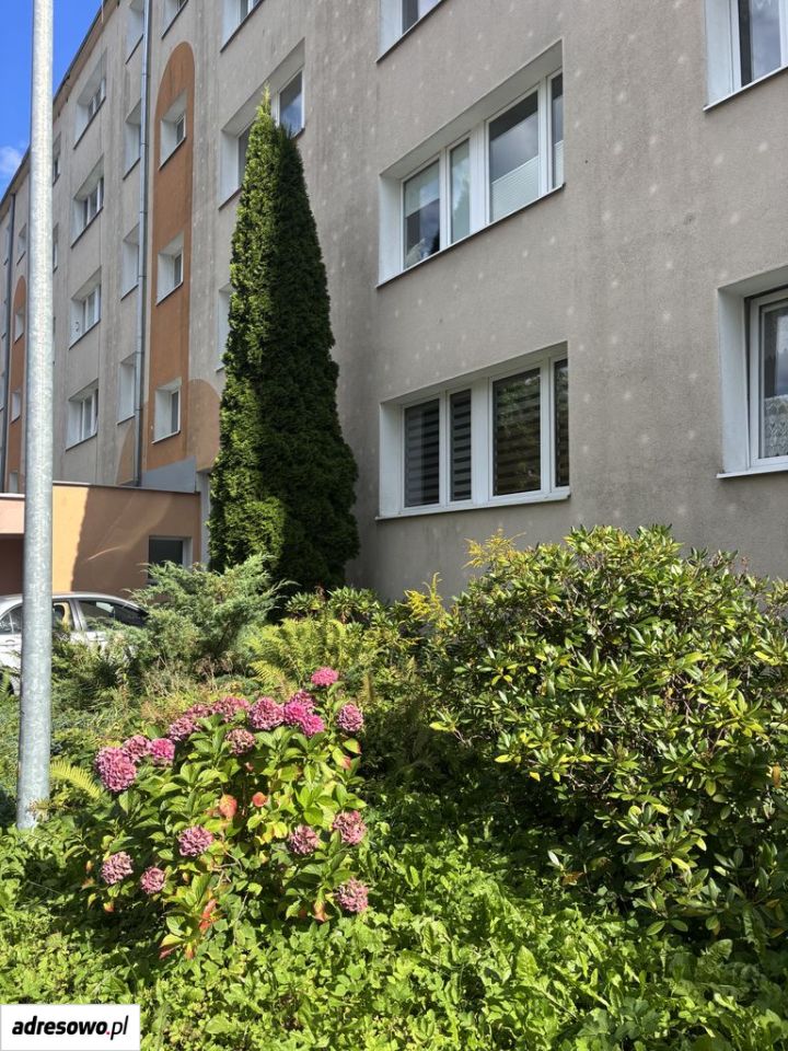 Mieszkanie 2-pokojowe Gdańsk Piecki, ul. Henryka Arctowskiego. Zdjęcie 13