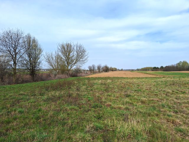 Działka budowlana Łosia Wólka Dobrzyń, ul. Prosta. Zdjęcie 1