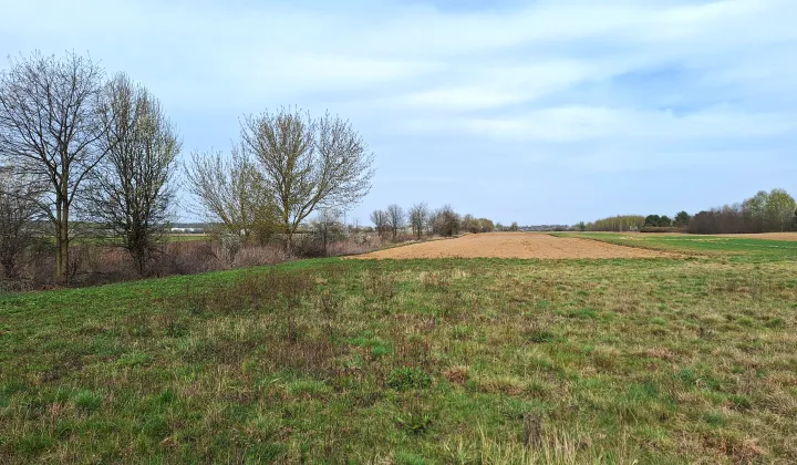Działka budowlana Łosia Wólka Dobrzyń, ul. Prosta