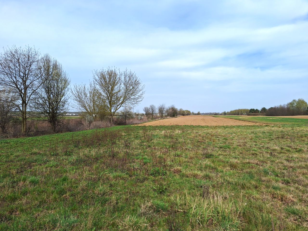 Działka budowlana Łosia Wólka Dobrzyń, ul. Prosta. Zdjęcie 1