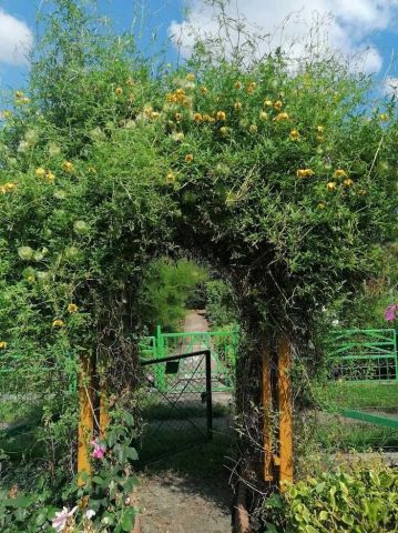 Działka rekreacyjna Wrocław Fabryczna, ul. Tulipanowa. Zdjęcie 1