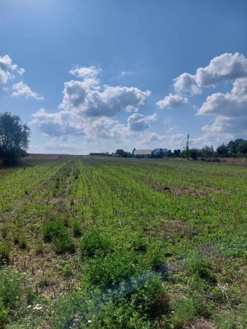 Działka budowlana Kątki. Zdjęcie 12