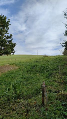 Działka rolna Brzuska. Zdjęcie 6