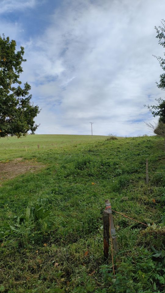 Działka rolna Brzuska. Zdjęcie 6