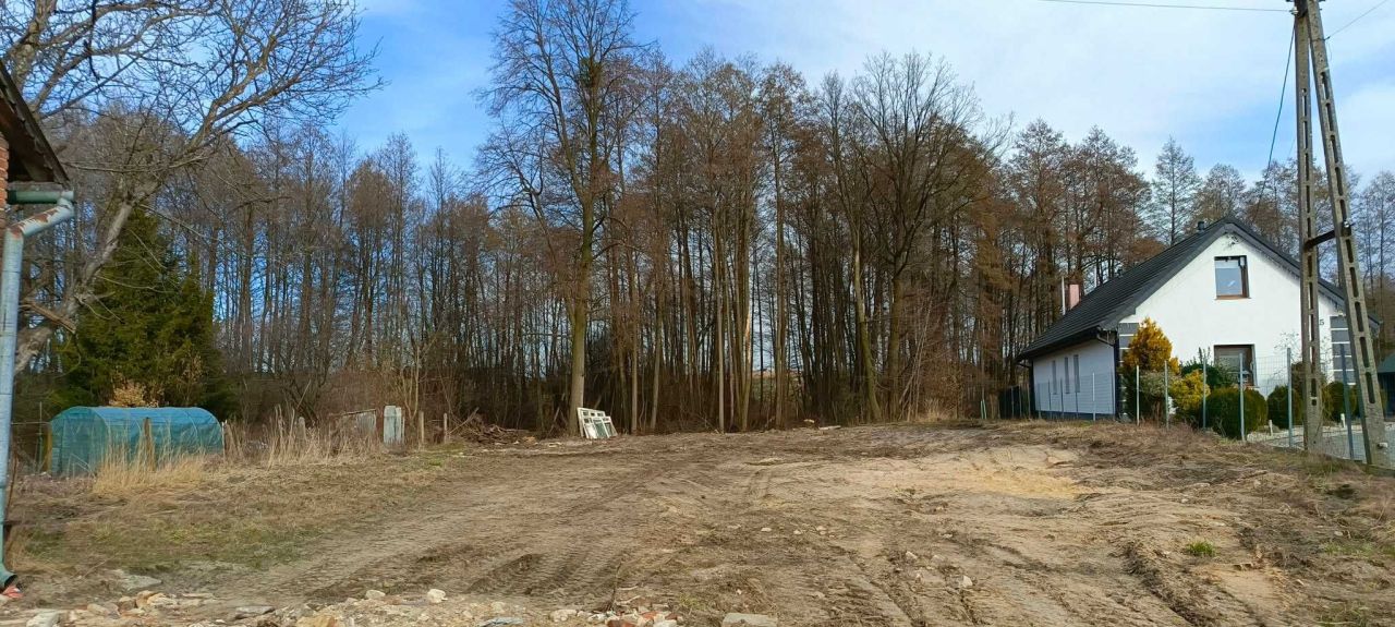 bliźniak Mirowszczyzna. Zdjęcie 6